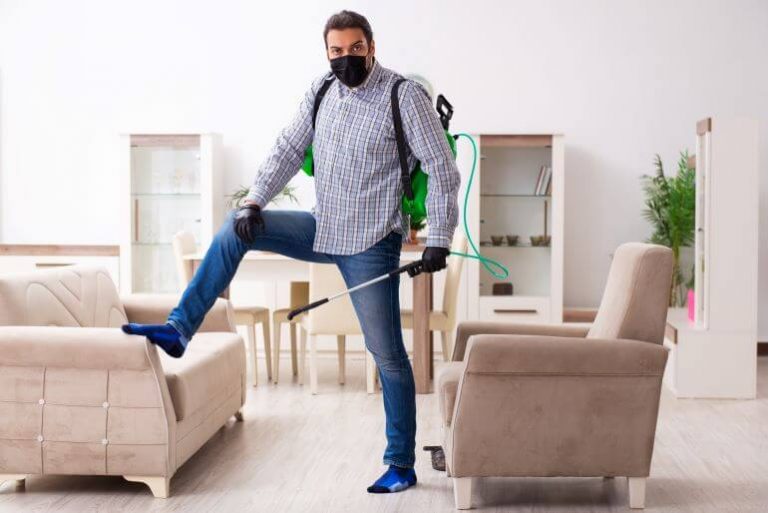 Pestcomfort.com - We are all about Pest and Pest Control