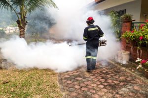 Mosquito control cost